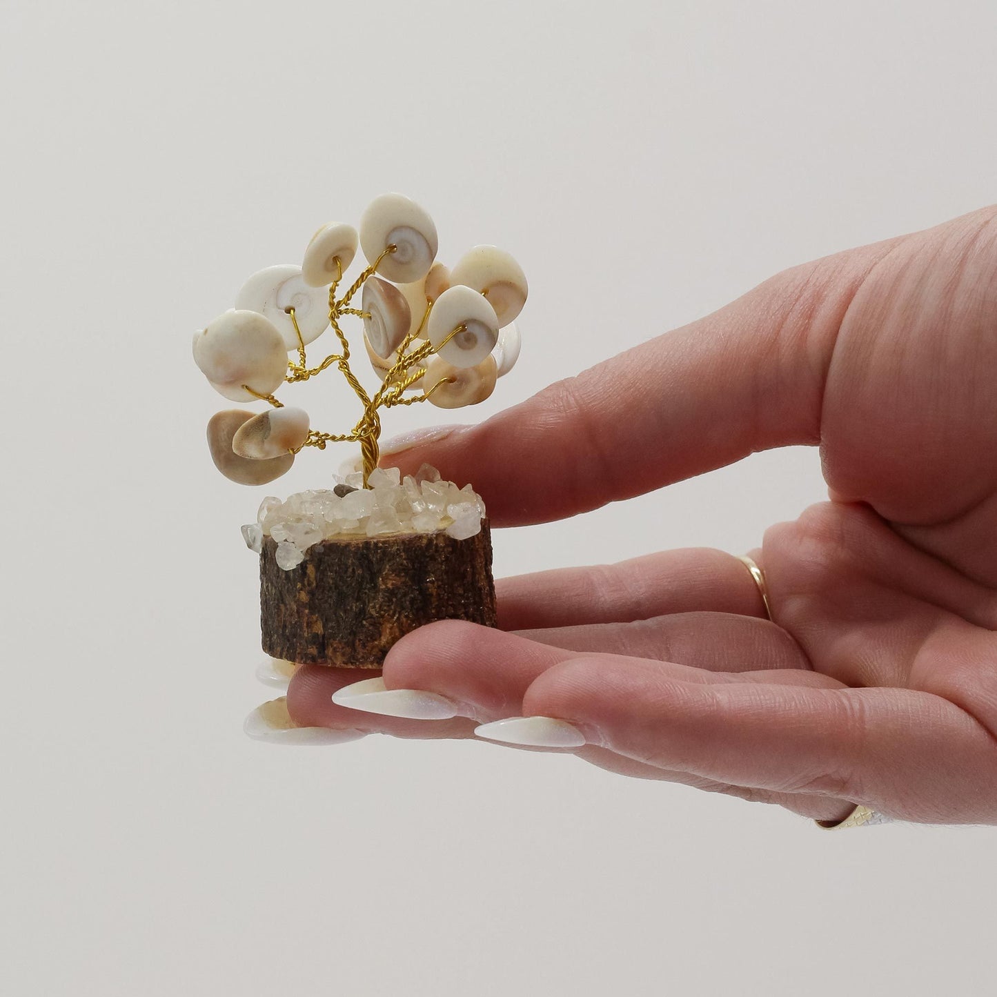 Kleine Gomati Chakra Kreisstein Bäume mit 15 Steinen