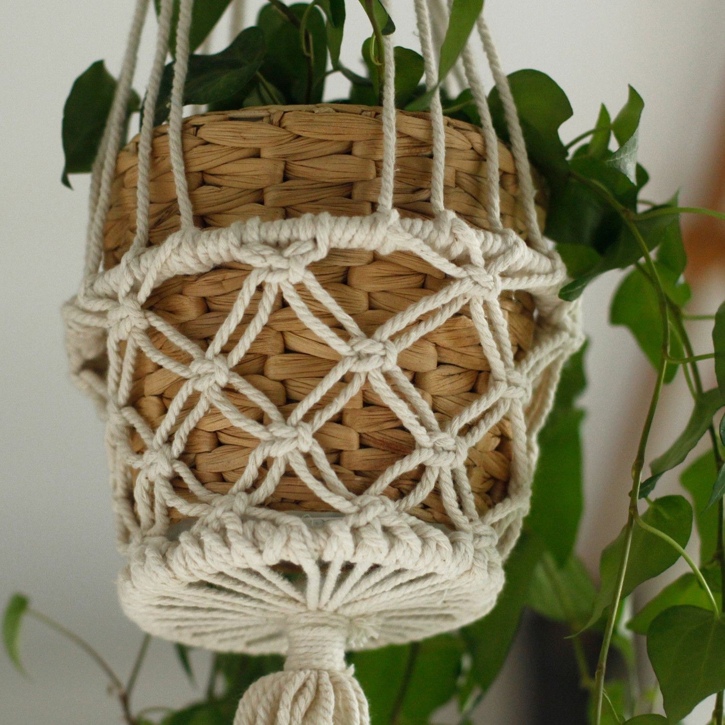 Macrame Blumentopfhalter Einzelner Kleiner Topf