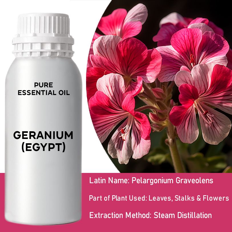 Geranium Ätherisches Öl 0.5Kg Aus Ägypten