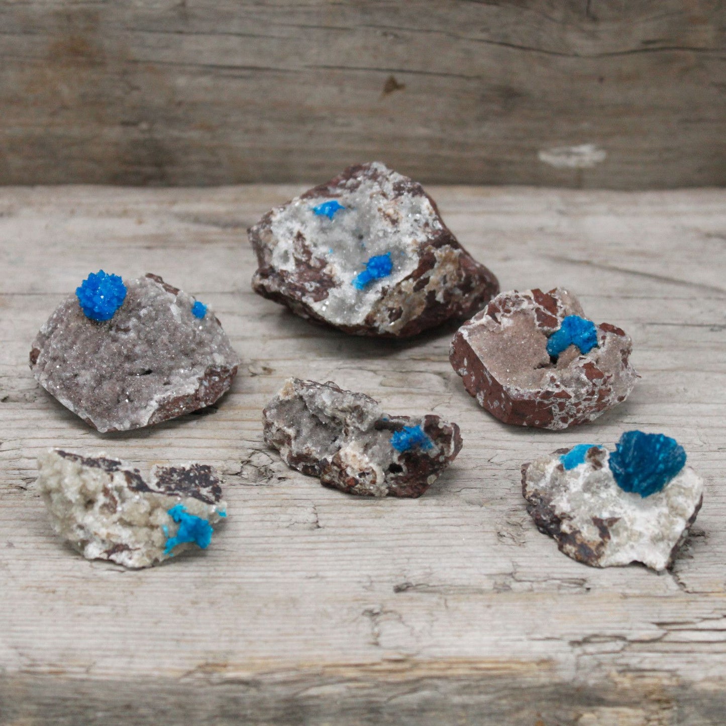 Cavensit Mit Metrik 30-40mm Seltene Mineralien Sammlerstücke