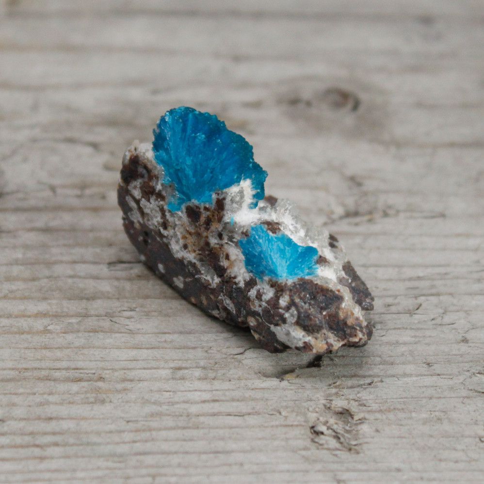 Cavensit Mit Metrik 30-40mm Seltene Mineralien Sammlerstücke