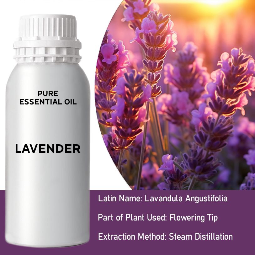 Lavendel 0.5Kg Hochwertige Blüten Tipps Aus Frankreich