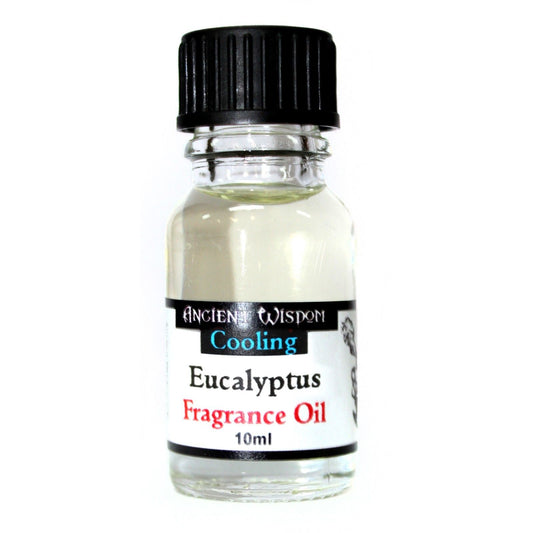 10ml Eukalyptus Duftöl