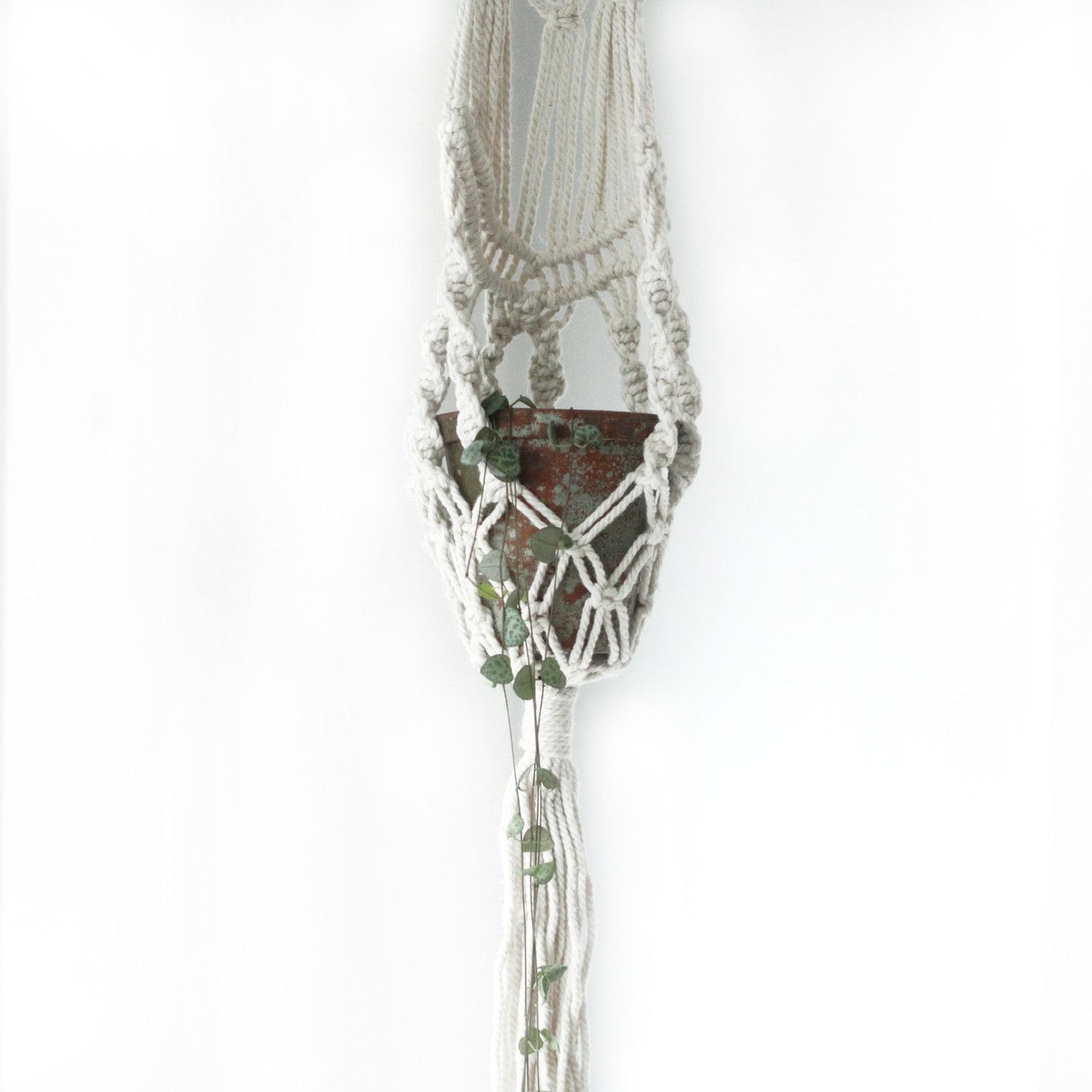 Macrame Pflanzenhänger Lang Mit Rattan Ring