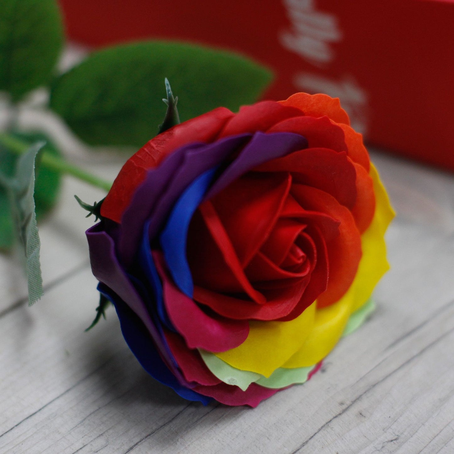Luxuriöse Seifenblumen - Regenbogen