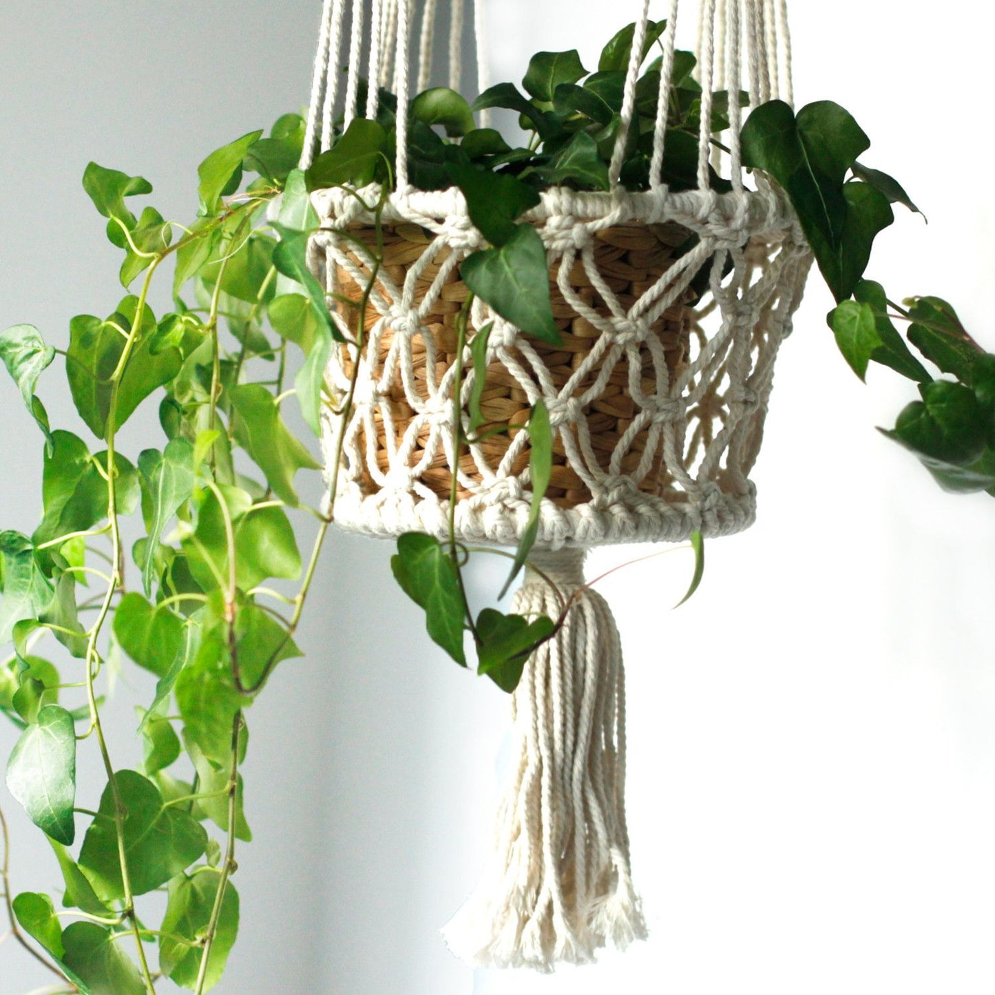 Makramee Blumentopf Halter Doppel Halter