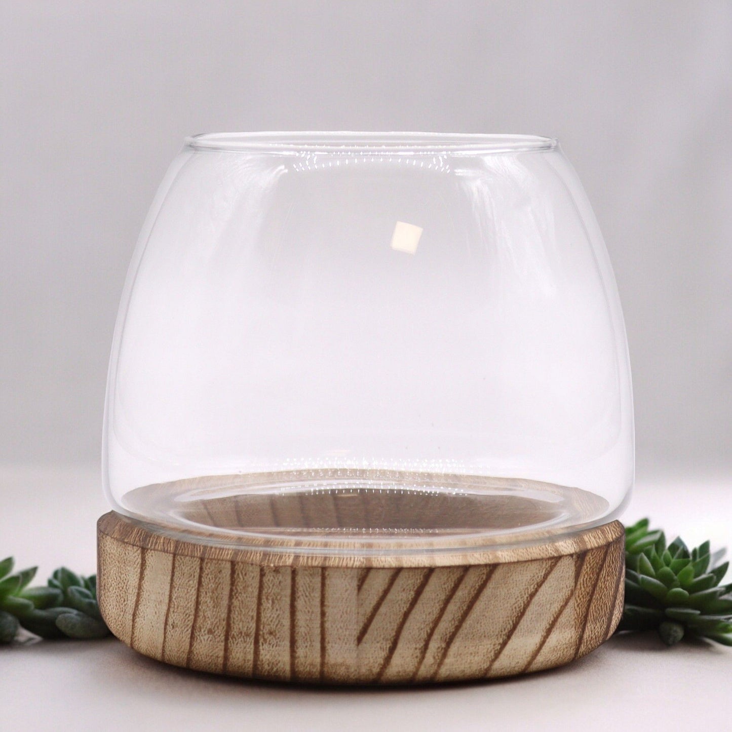 Kleines Terrarium Auf Natürlichem Tung Holz 13x13cm