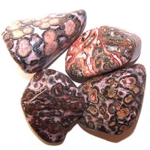 24er Pack L Tumble Stein Leopard Haut Jasper L