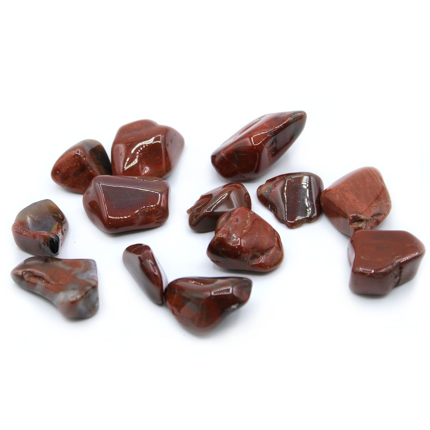 Packung Mit 24 L Tumble Stones - Versteinerte Holz L