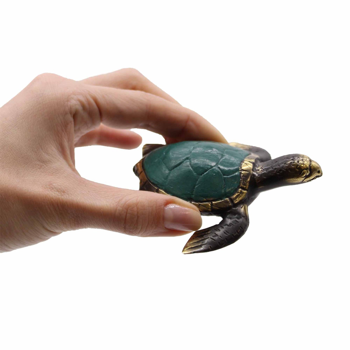 Meeresschildkröten Set von 3