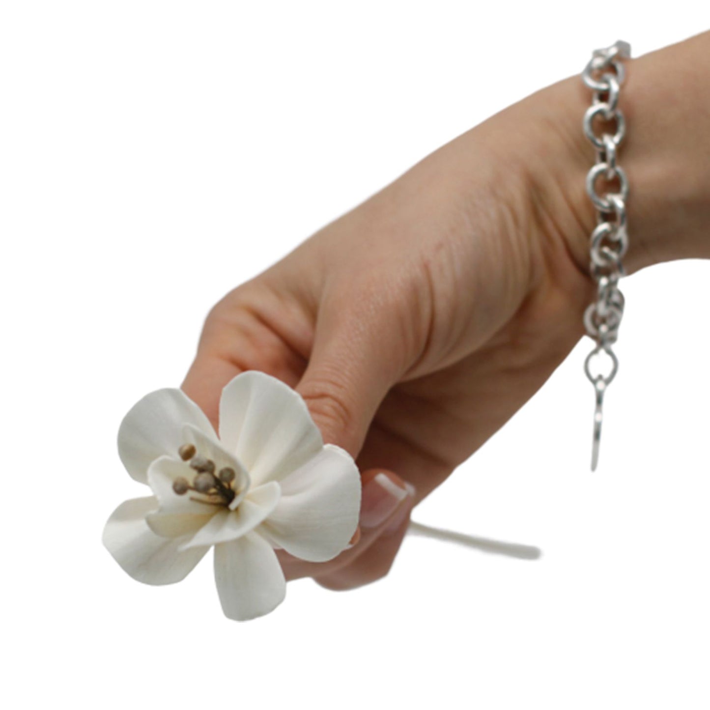 Natürliche Diffusorblumen - Lilie auf Schilfrohr