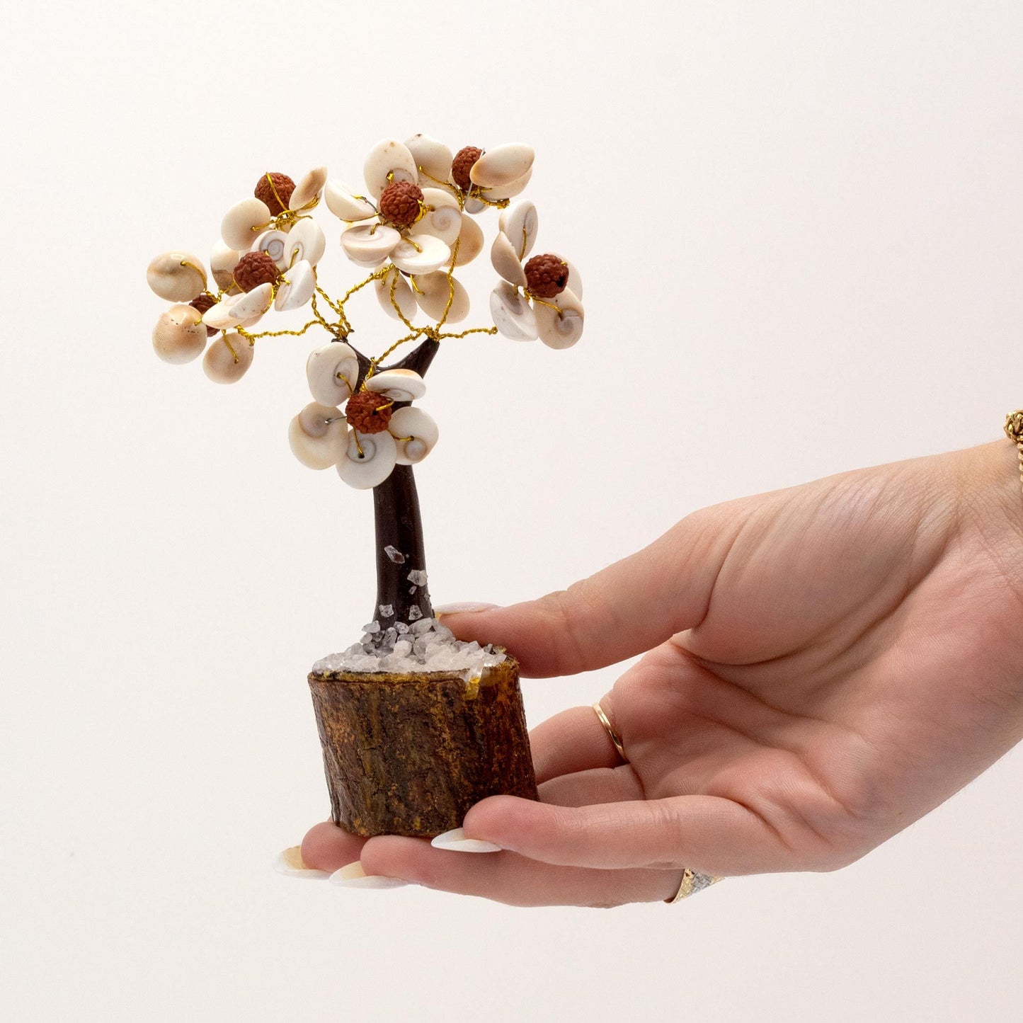 Mittlerer Gomati Chakra Kreis Steinbaum Mit Rudraksha - 45 Steine
