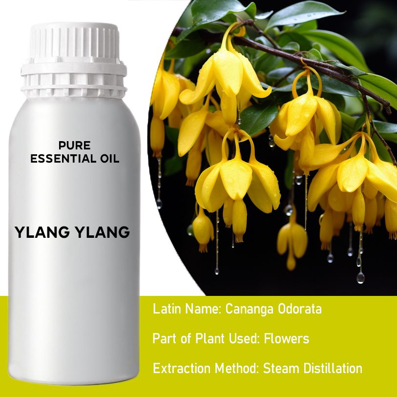 Ylang Ylang 0 5Kg Ätherisches Öl aus den Komoren