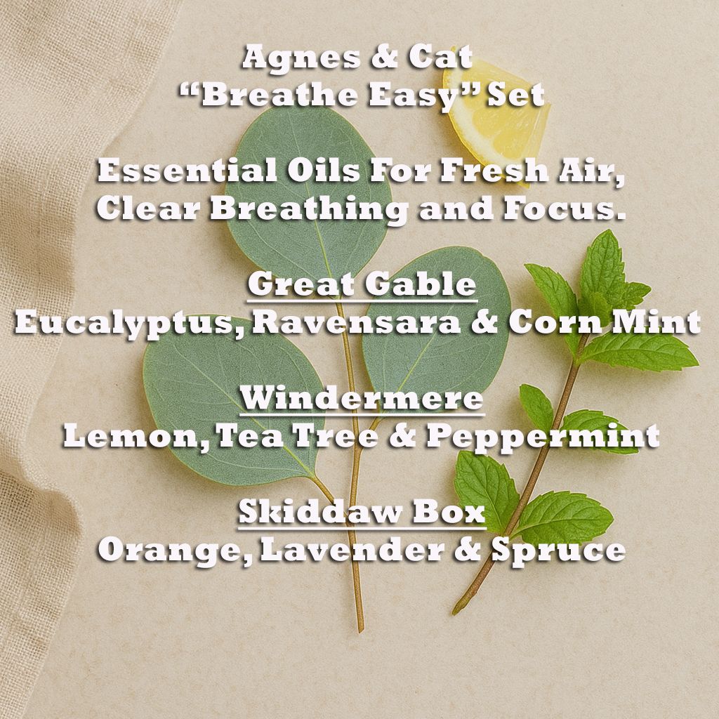 Agnes und Katze Breathe Easy Set Mit 3 Ätherischen Ölmischungen