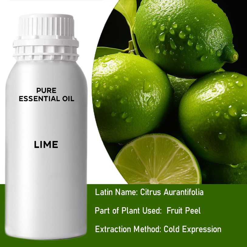Limette 0.5Kg Kaltgepresstes Ätherisches Öl