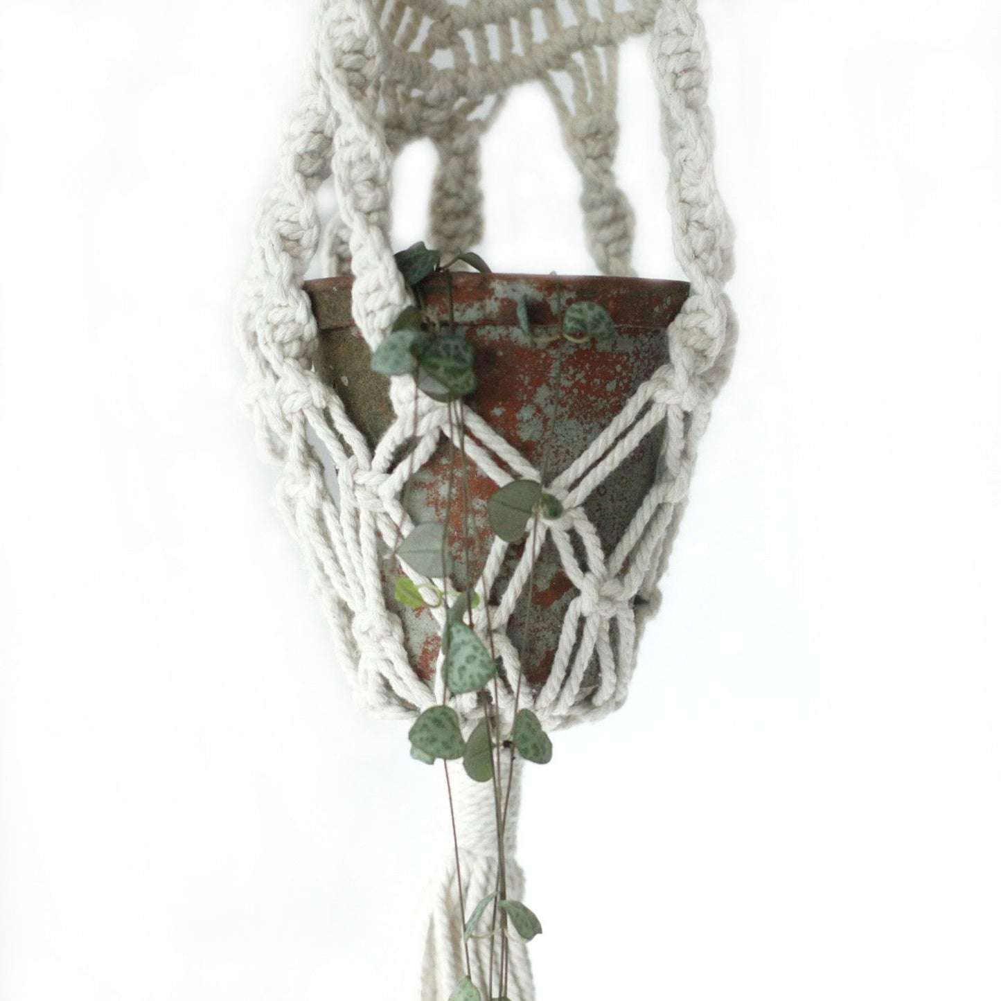 Macrame Pflanzenhänger Lang Mit Rattan Ring