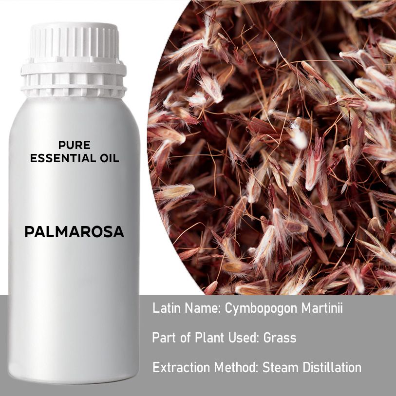 Palmarosa Ätherisches Öl 0 5Kg Cymbopogon Martinii Mit Rosenartigem Duft