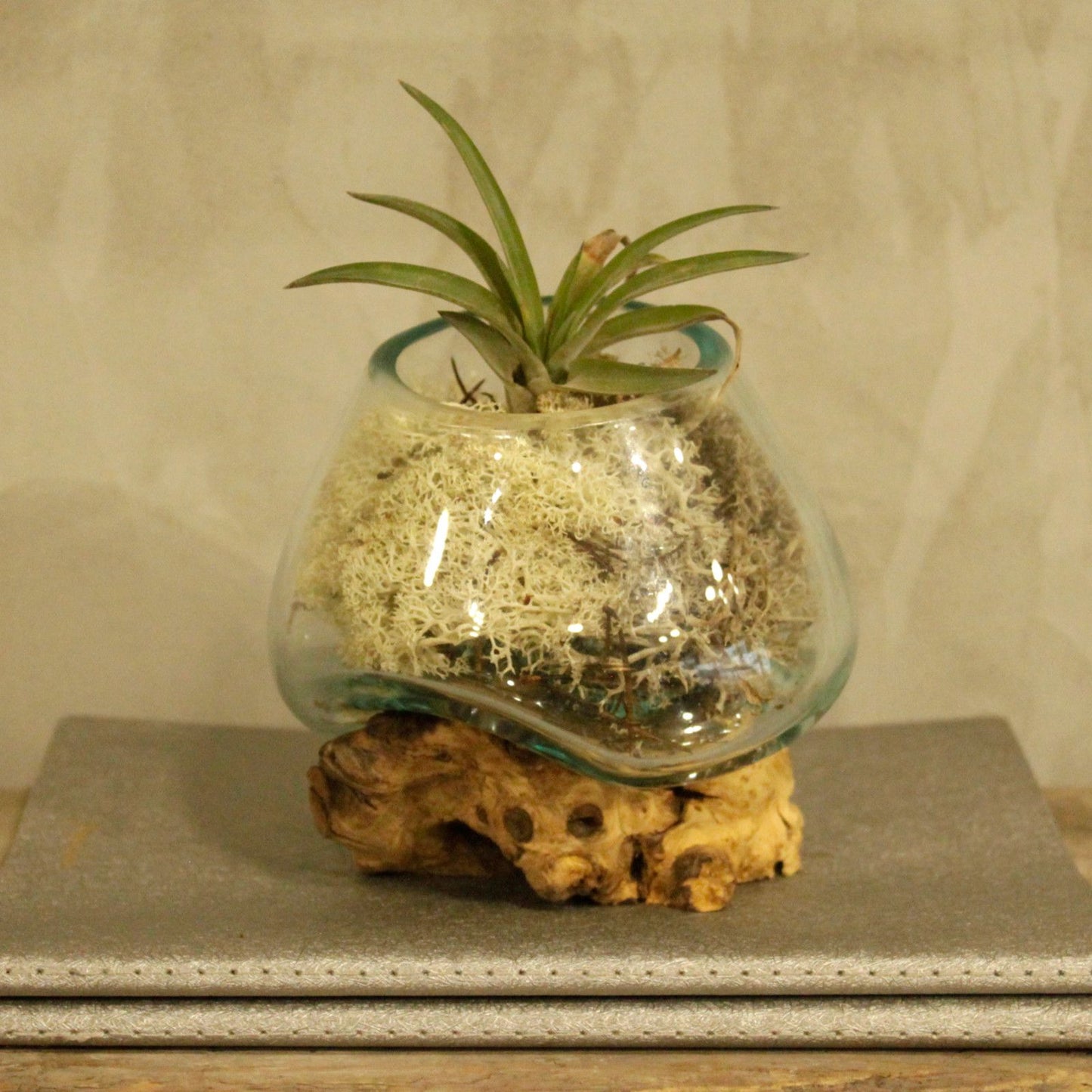 Geschmolzenes Glas Auf Holz - Kleine Schüssel