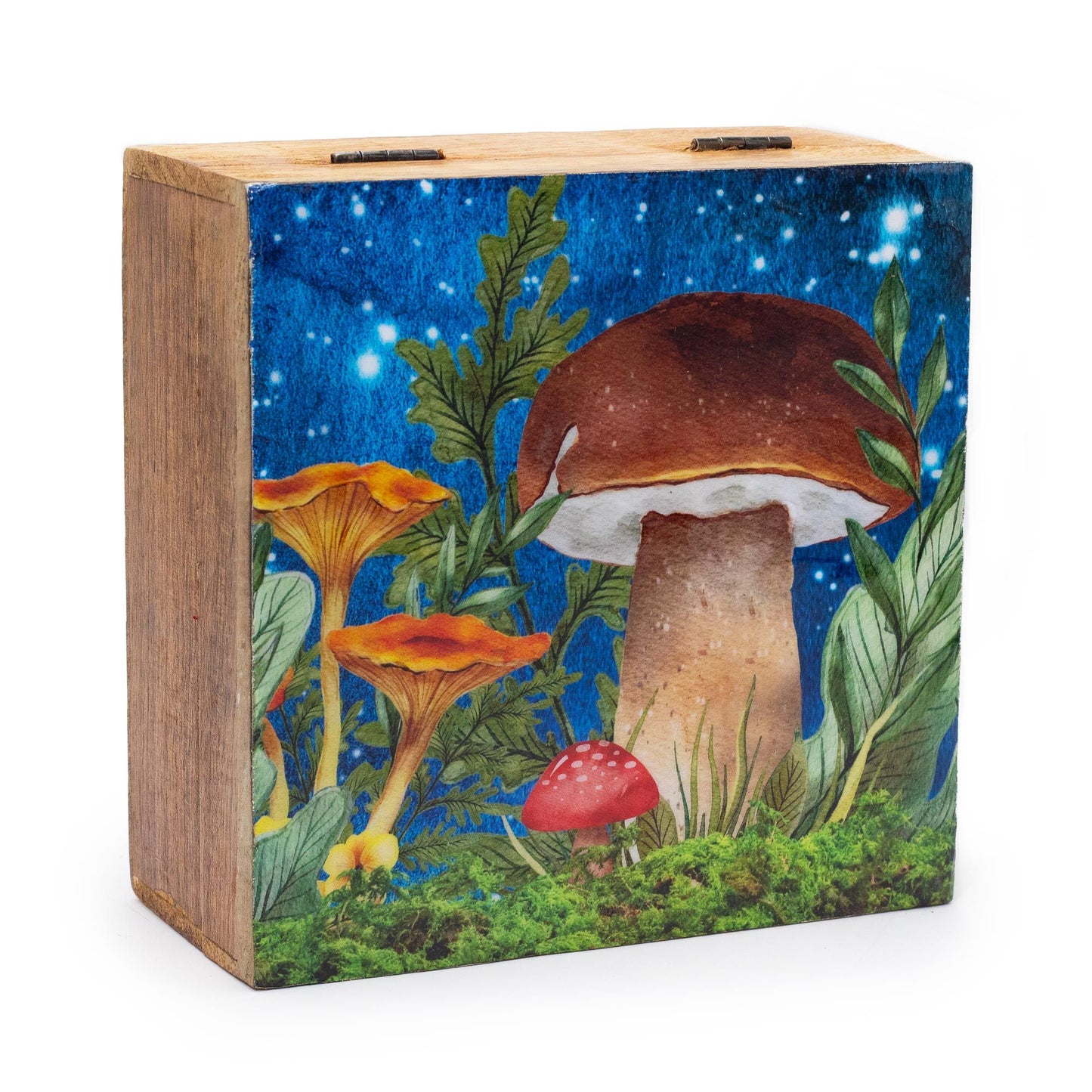 Große Quadratische Box 15x17,5x8cm - Pilzdesign Teal