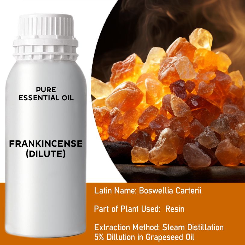 Weihrauch Verdünnt 0.5Kg Boswellia Carterii Resin Öl aus Oman