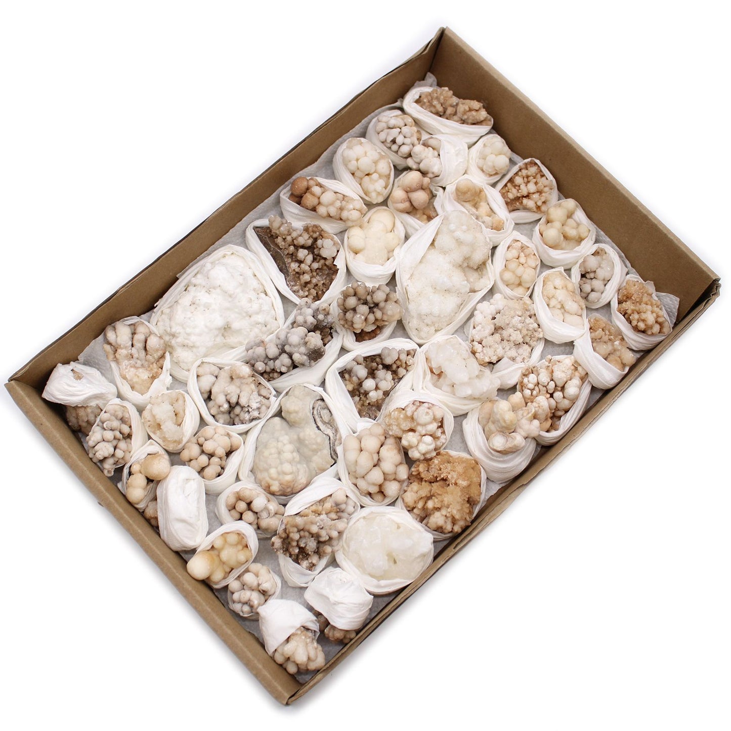 Mineralproben - Blumen-Calcit Ungefähr 20 Stück