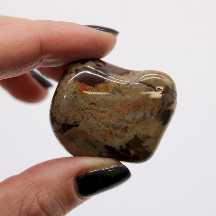 Beutel Mit 6 Großen Afrikanischen Tumble Stones - Jasper Nguni