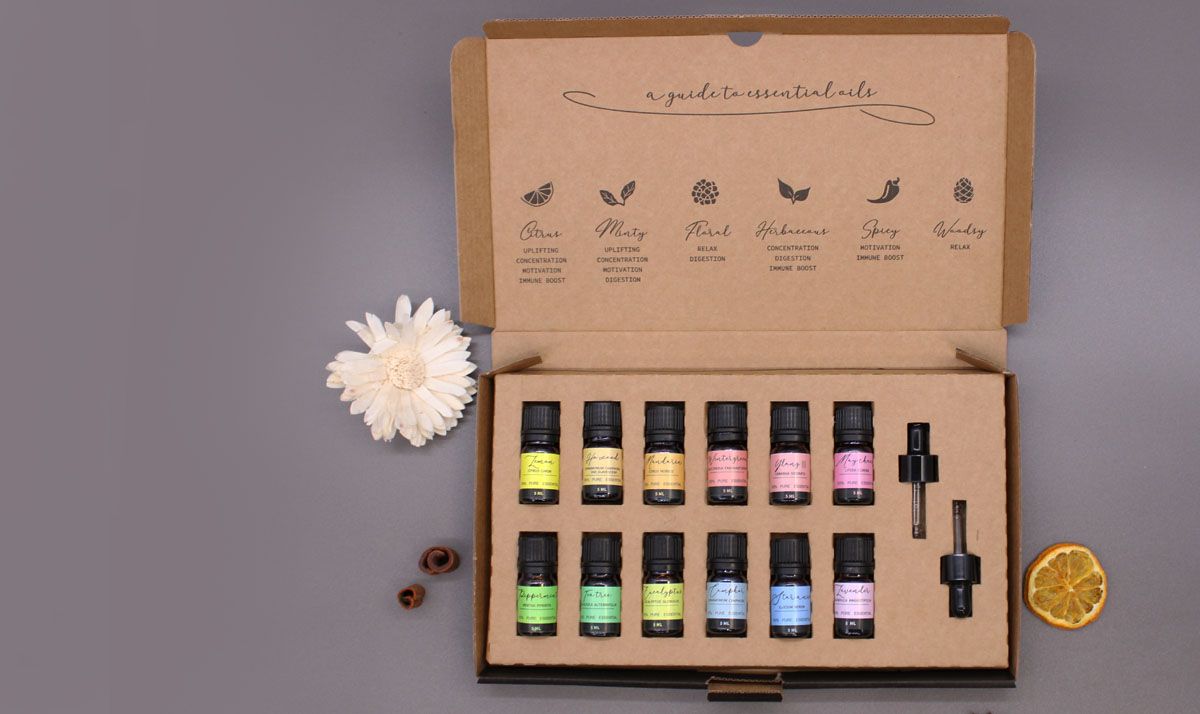 Aromatherapie Ätherisches Öl Set Starterpaket mit 12 Ölen und 2 Tropfern