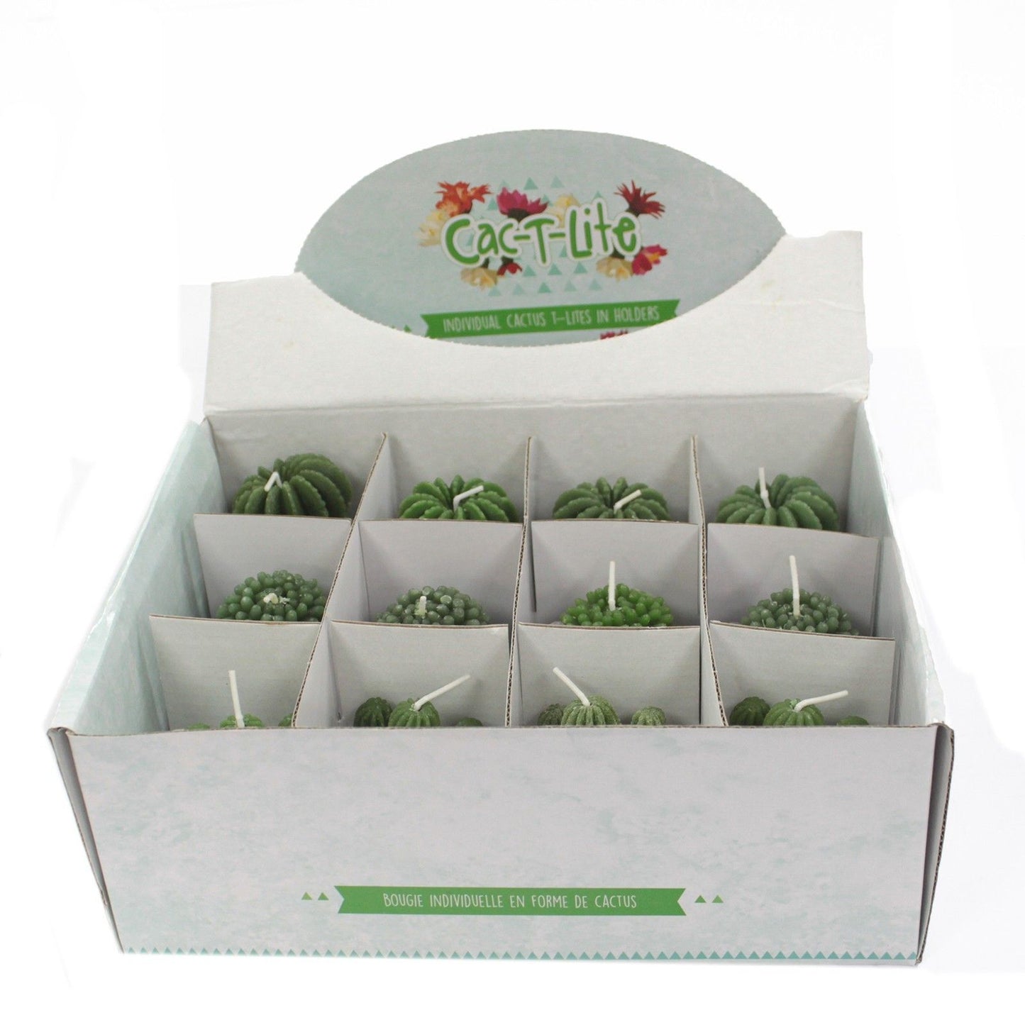 Kaktuskerzen Tier Topf Sortiment Display