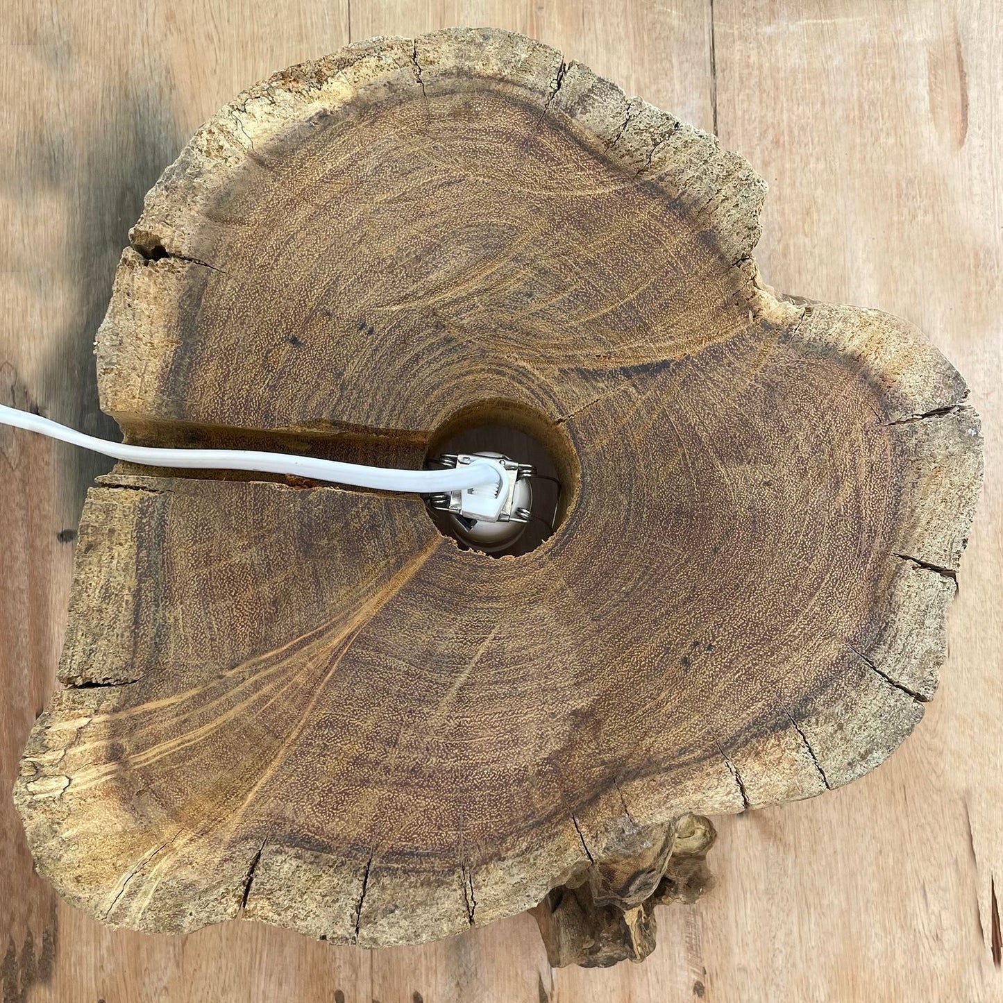 Molten Glass Großer Fisch Tank 32cm