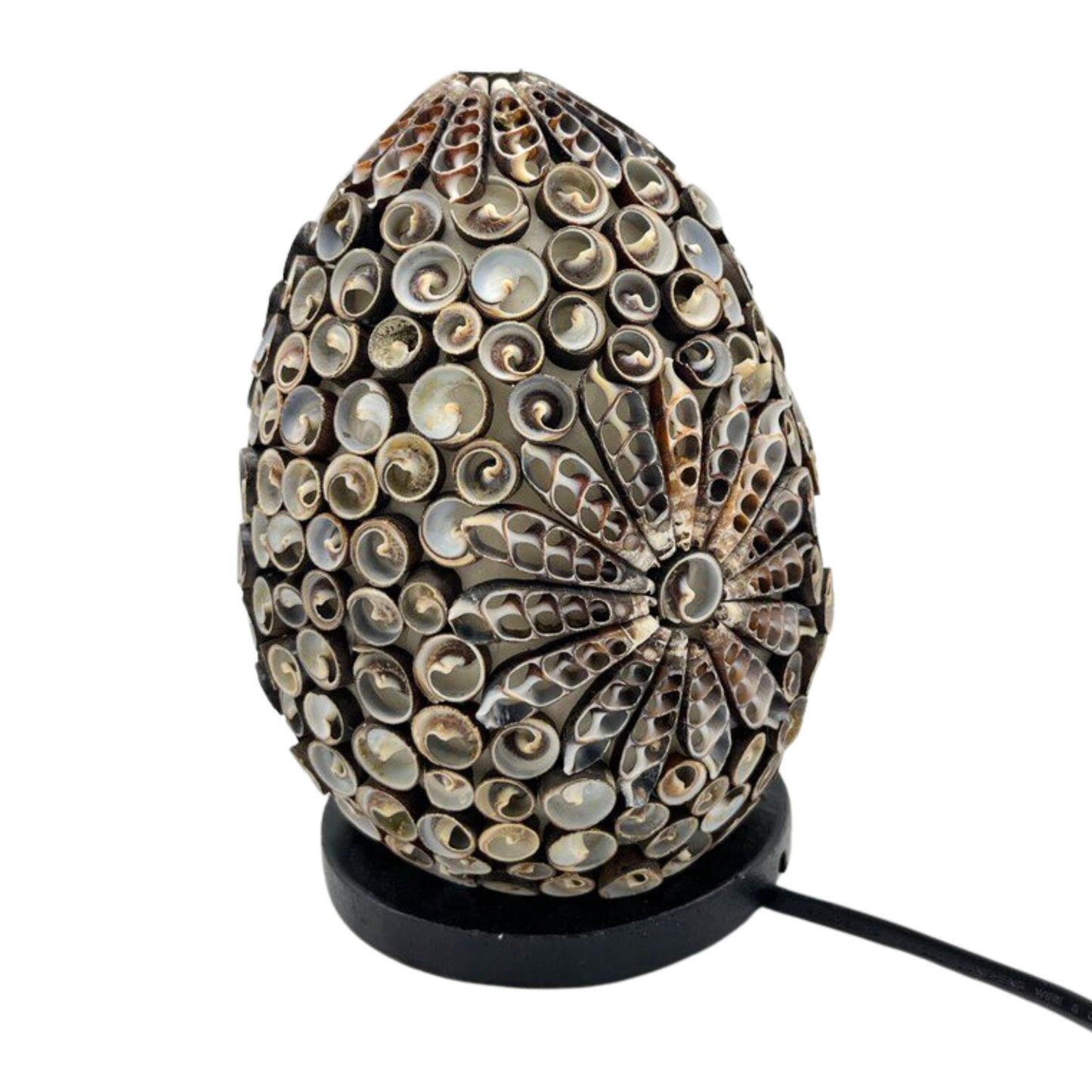 Boho Muschel Lampe - Schokoladen Drehung Oval - 15cm