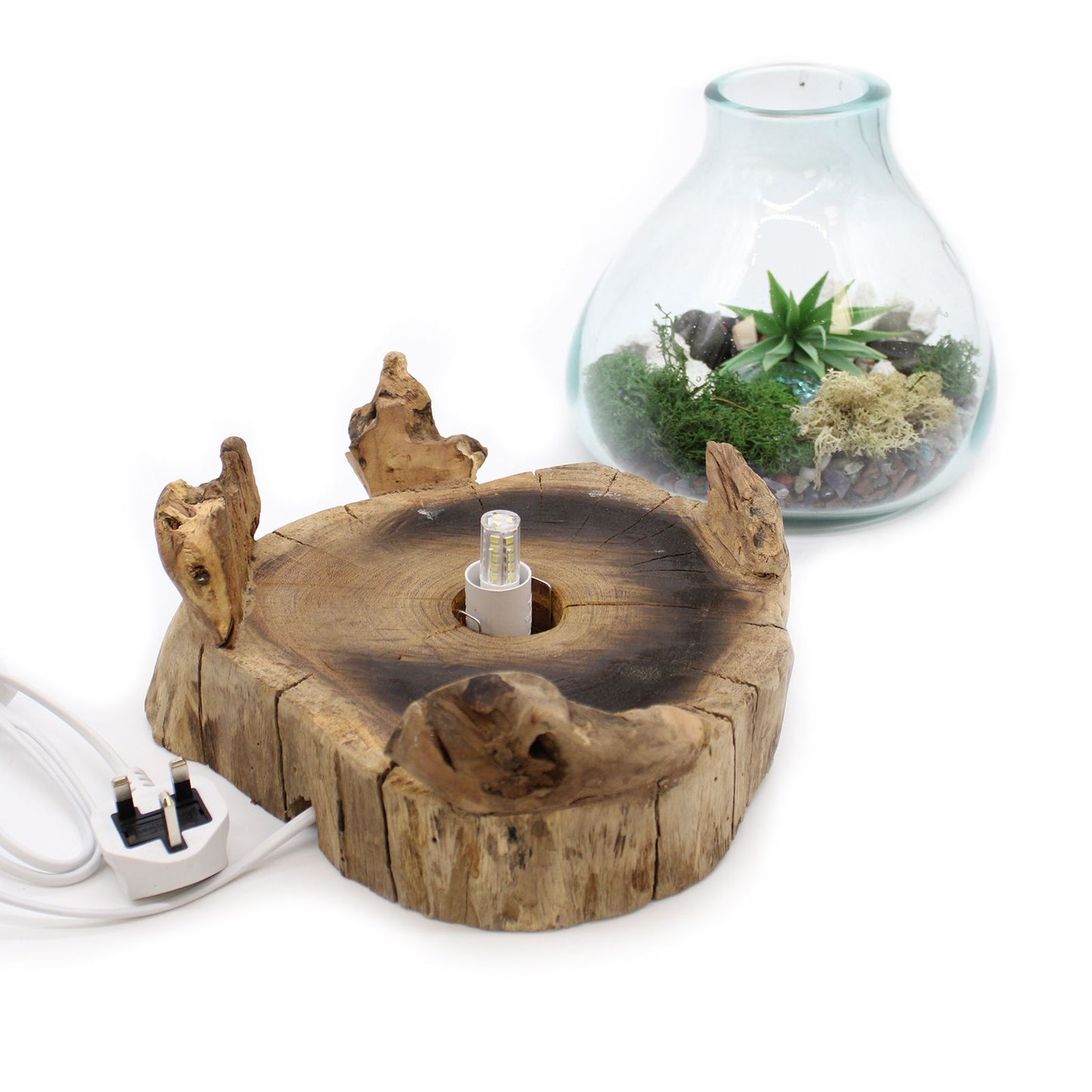 Molten Glass Großer Fisch Tank 32cm