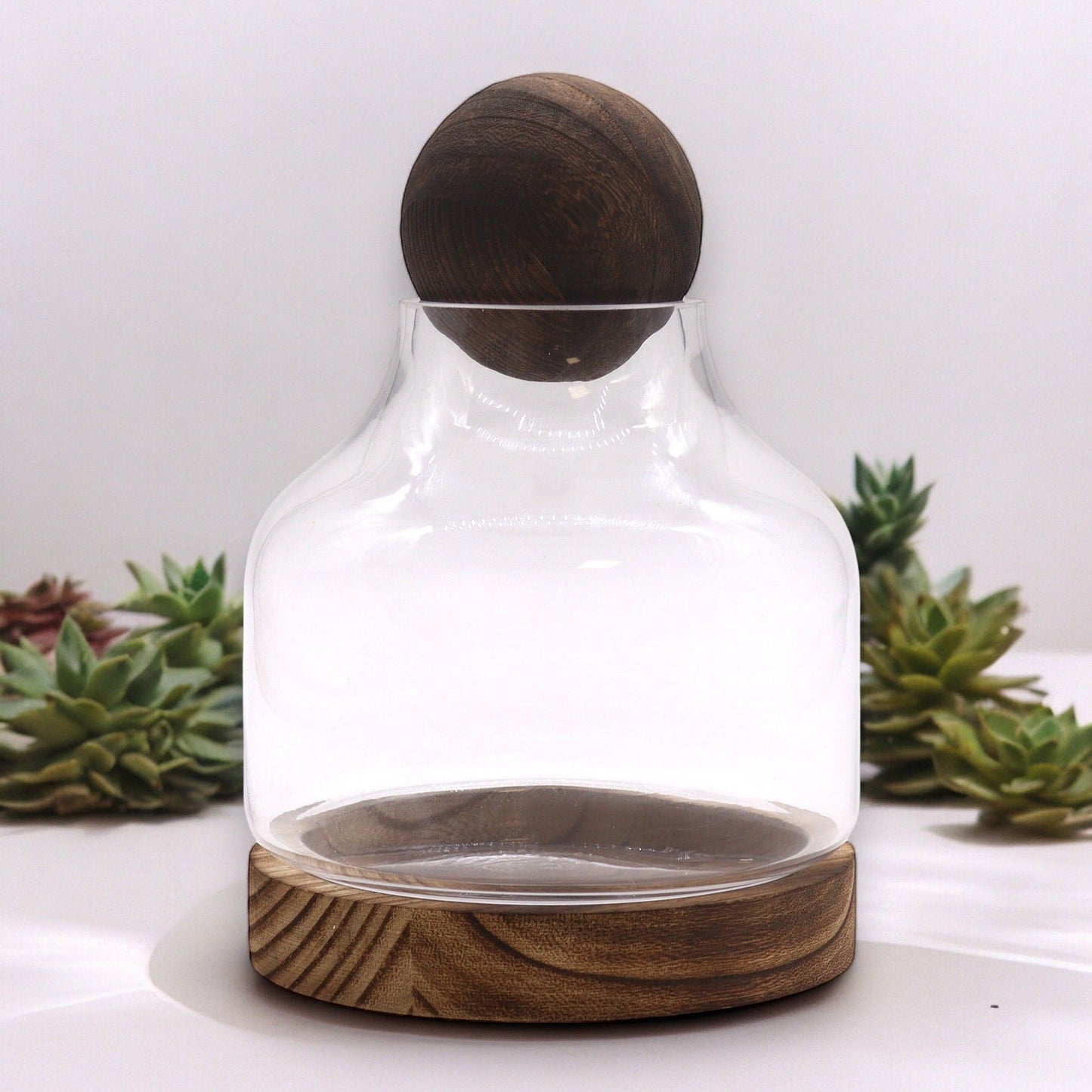 Mittleres Balloberes Terrarium Auf Dunklem Tung Holz - 17x22cm