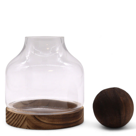 Mittleres Balloberes Terrarium Auf Dunklem Tung Holz - 17x22cm