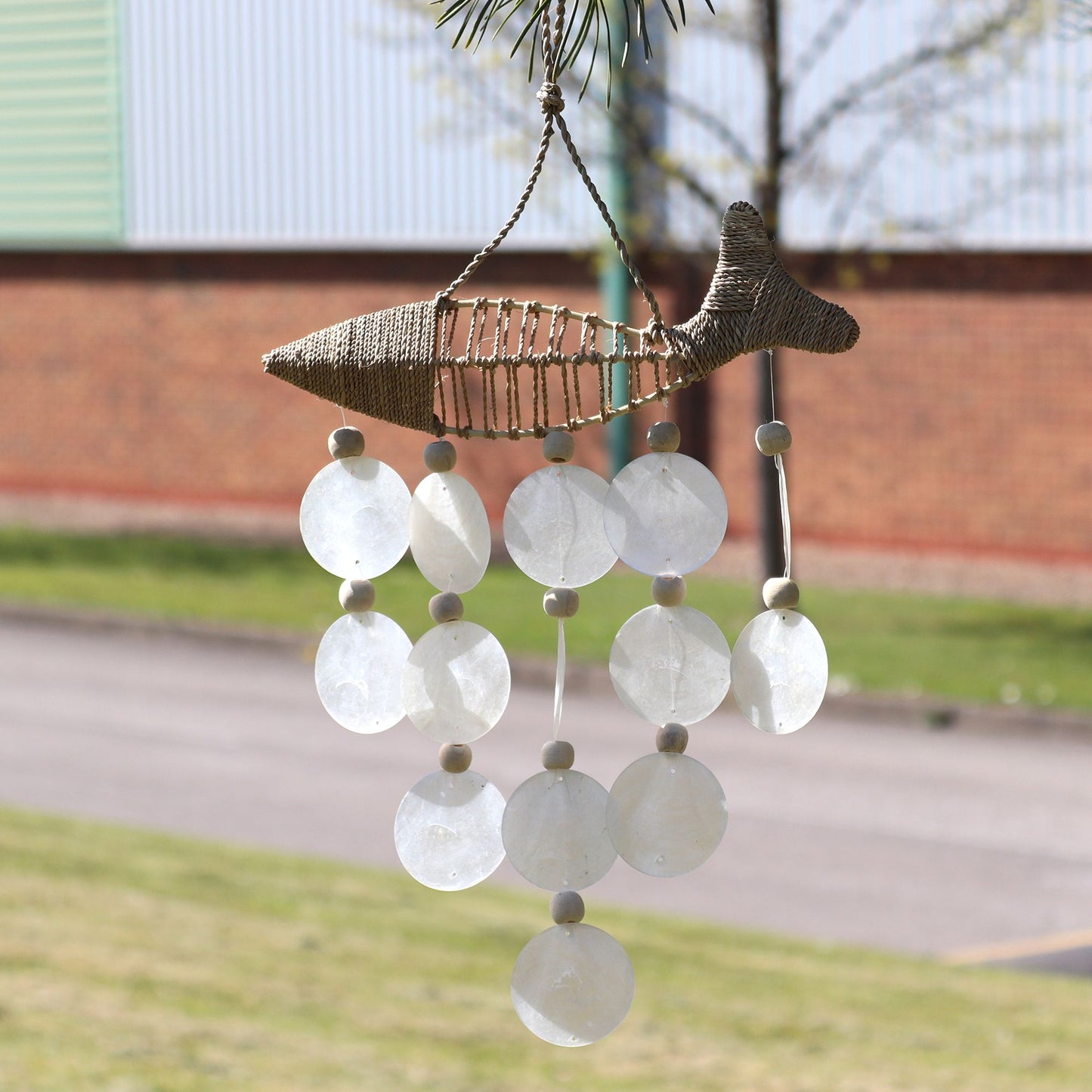 String Fisch und Natürlicher Capiz Muschel Tropfen