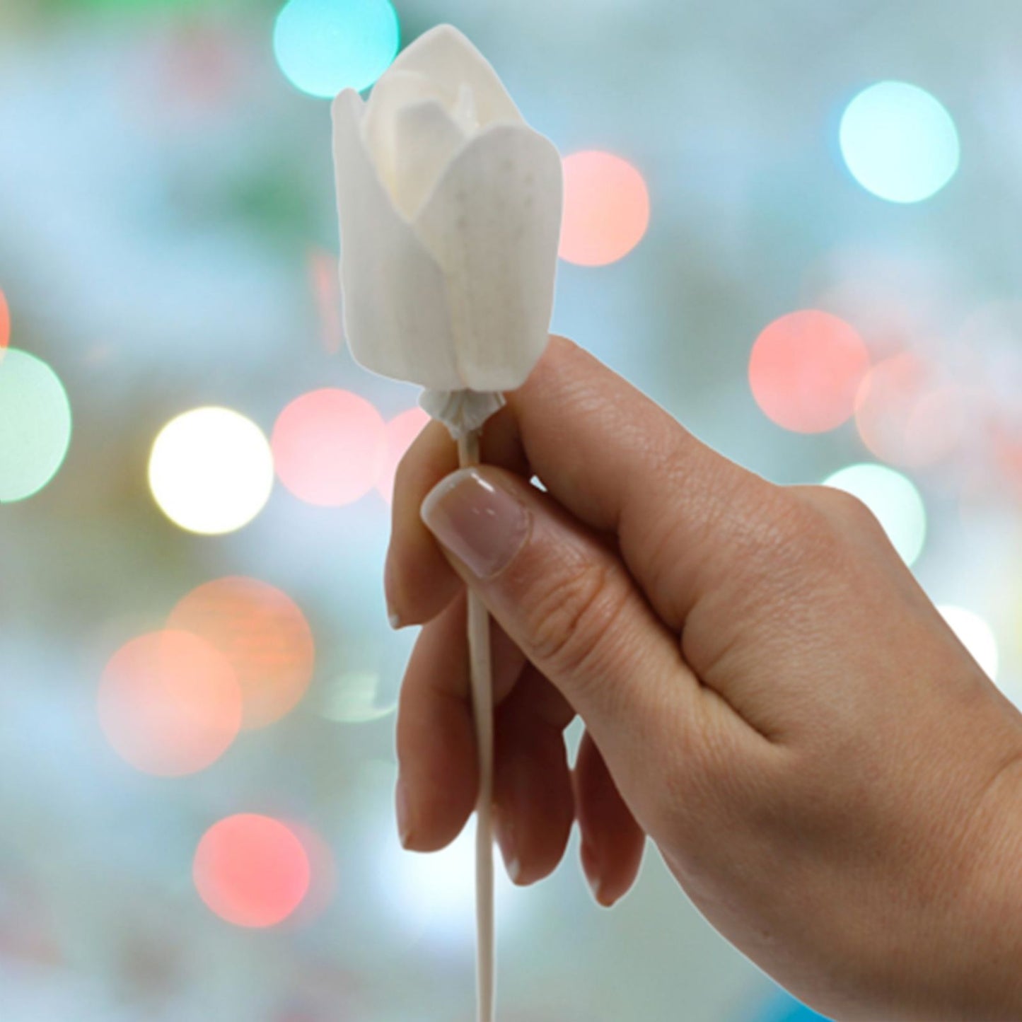 Natürliche Diffuser Blumen - Tulpe Auf Schilfrohr