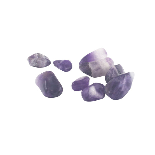 24er Pack Amethyst Bänder M (B Qualität)