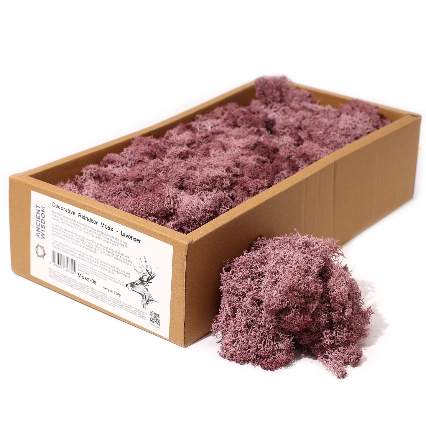 Qualitätsdekoration Rentiermoos - Lavendel - 635g Box