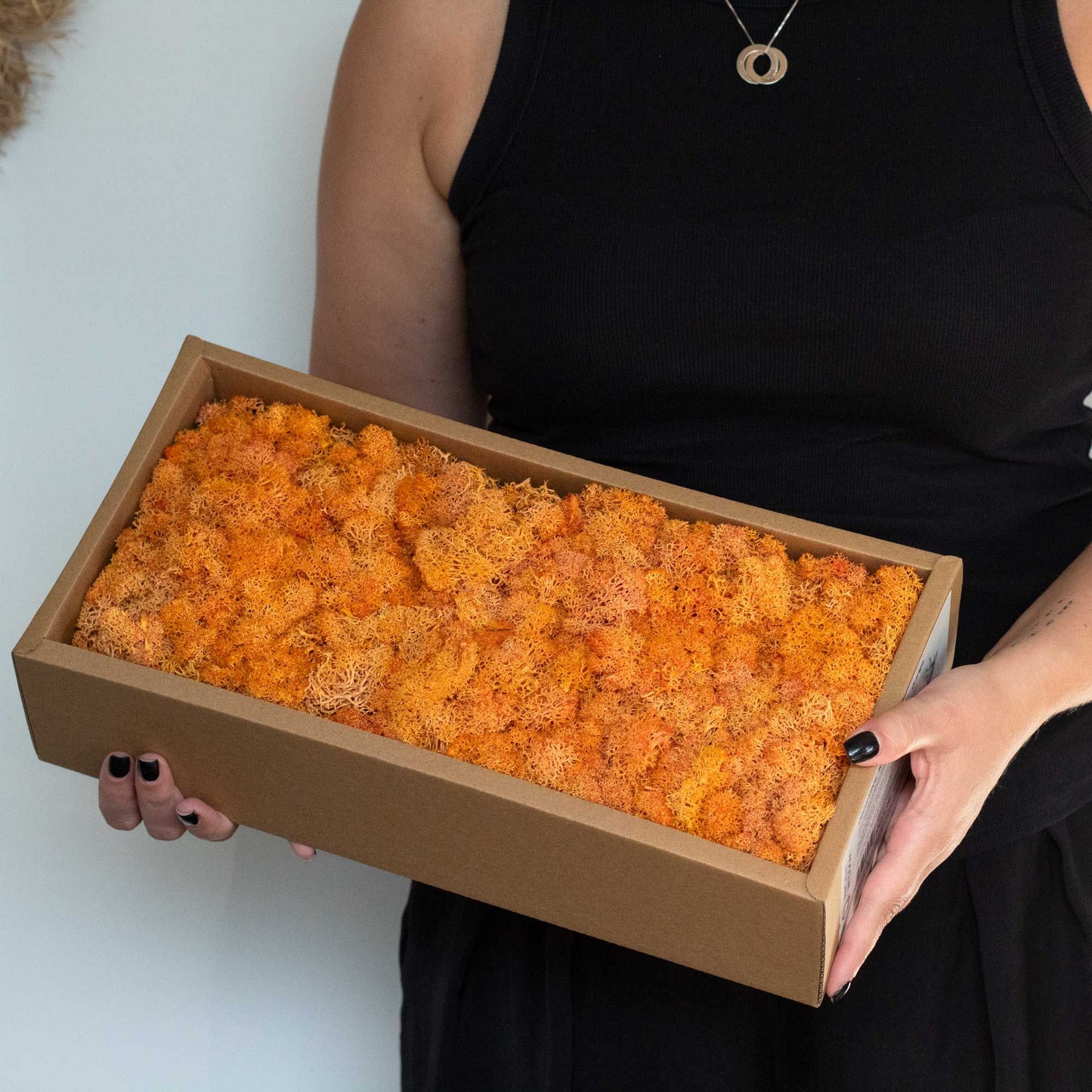 Qualitätsdekorationsrehmoos Gelb 635g Box