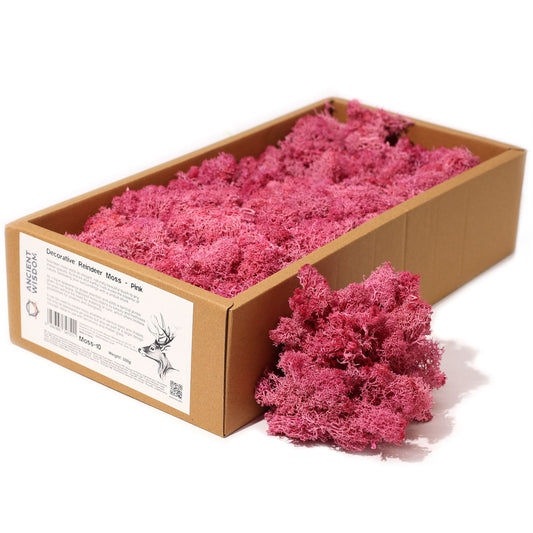 Qualitätsdekoration Rentiermoos - Rosa - 635g Box