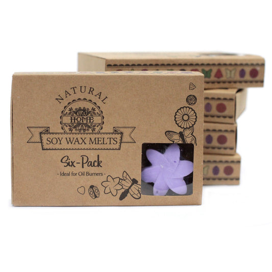 Geschenkset Mit 6 Wachsschmelzen - Lavendel Felder