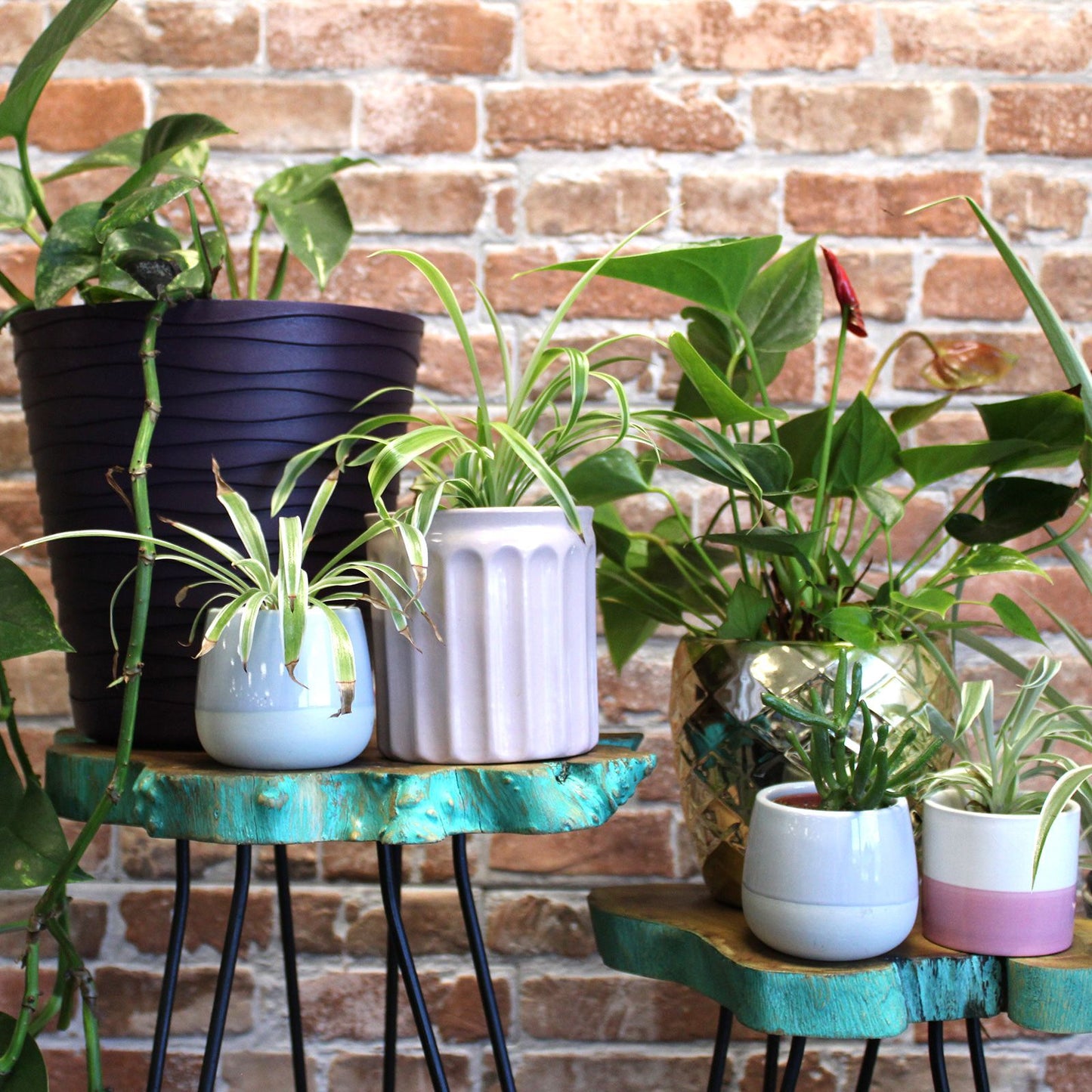 Set Mit 3 Gamell Holz Pflanzenständern - Grünwäsche