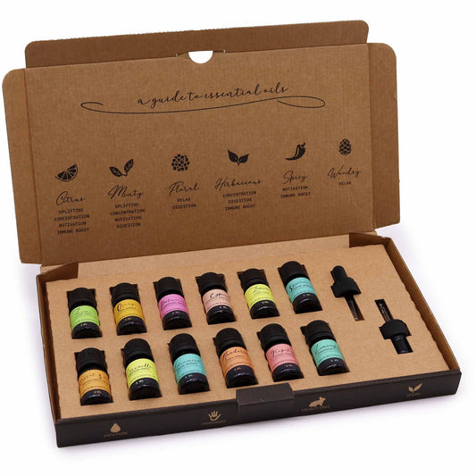Aromatherapie Ätherisches Öl Set Sommer