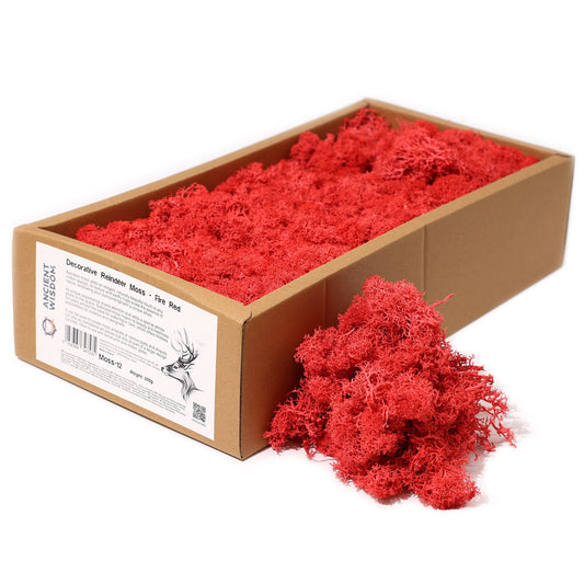 Qualitätsdekorationsrennmoss Feuerrot 635g Box