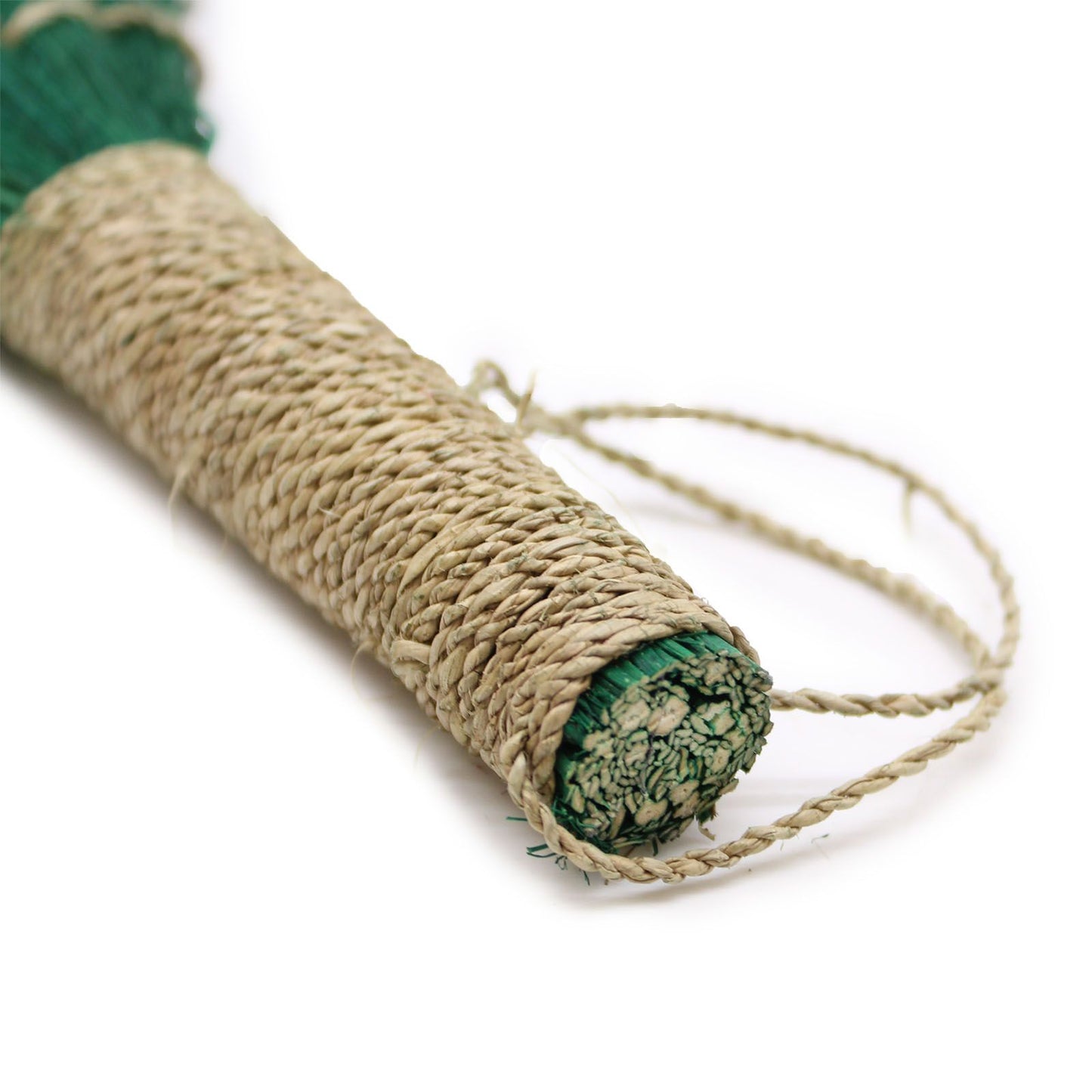 Set 4 Pampas Langbesen Lebendige Farben