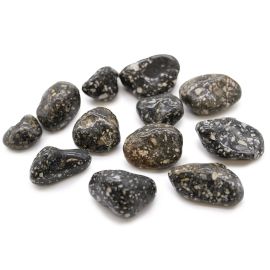 Beutel Mit 12 Mittleren Afrikanischen Tumble Stones - Guinea Fowl Beutel Mit 12 Mittleren