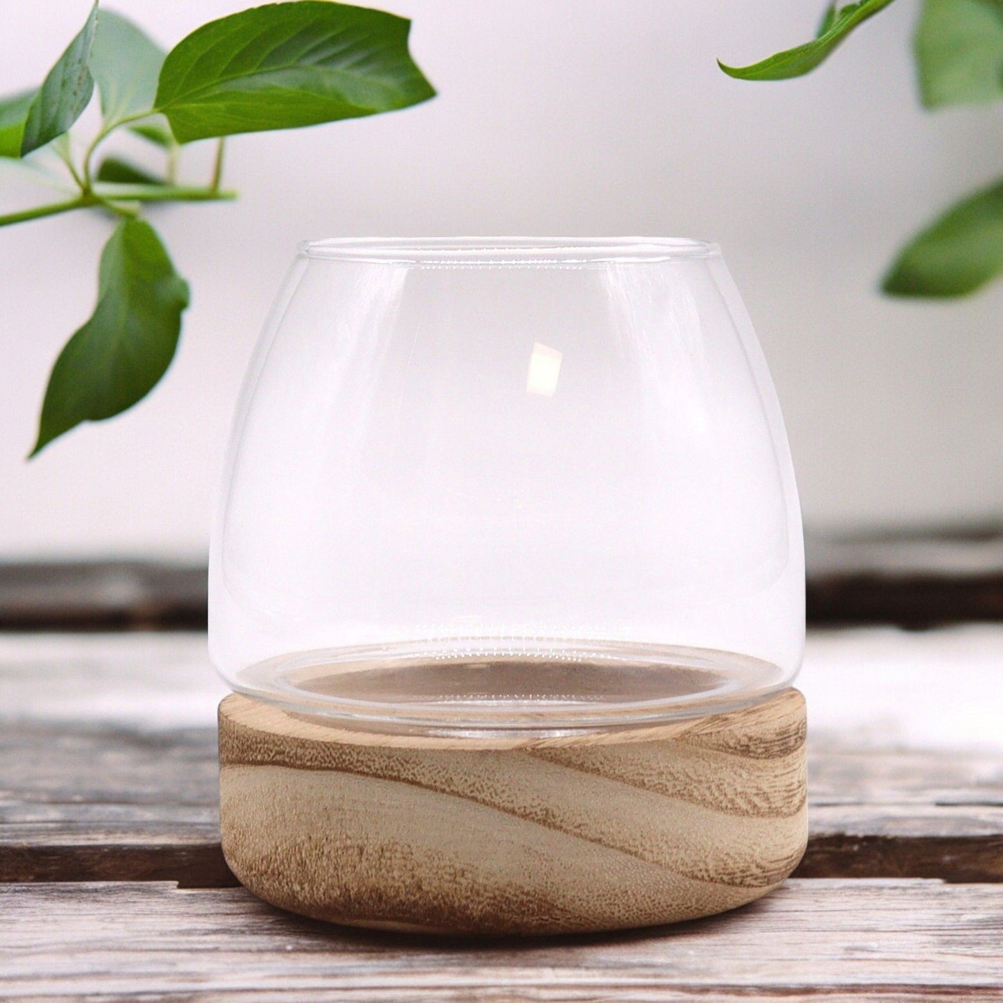 Mini Terrarium Auf Natur Tung Holz 10x10cm