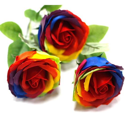 Luxus Seifenblumen - Regenbogen