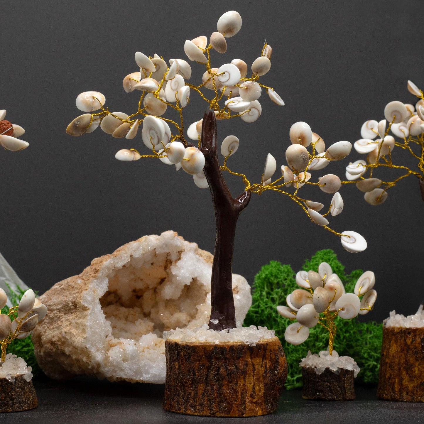 Großer Gomati Chakra Steinbaum Mit 60 Steinen