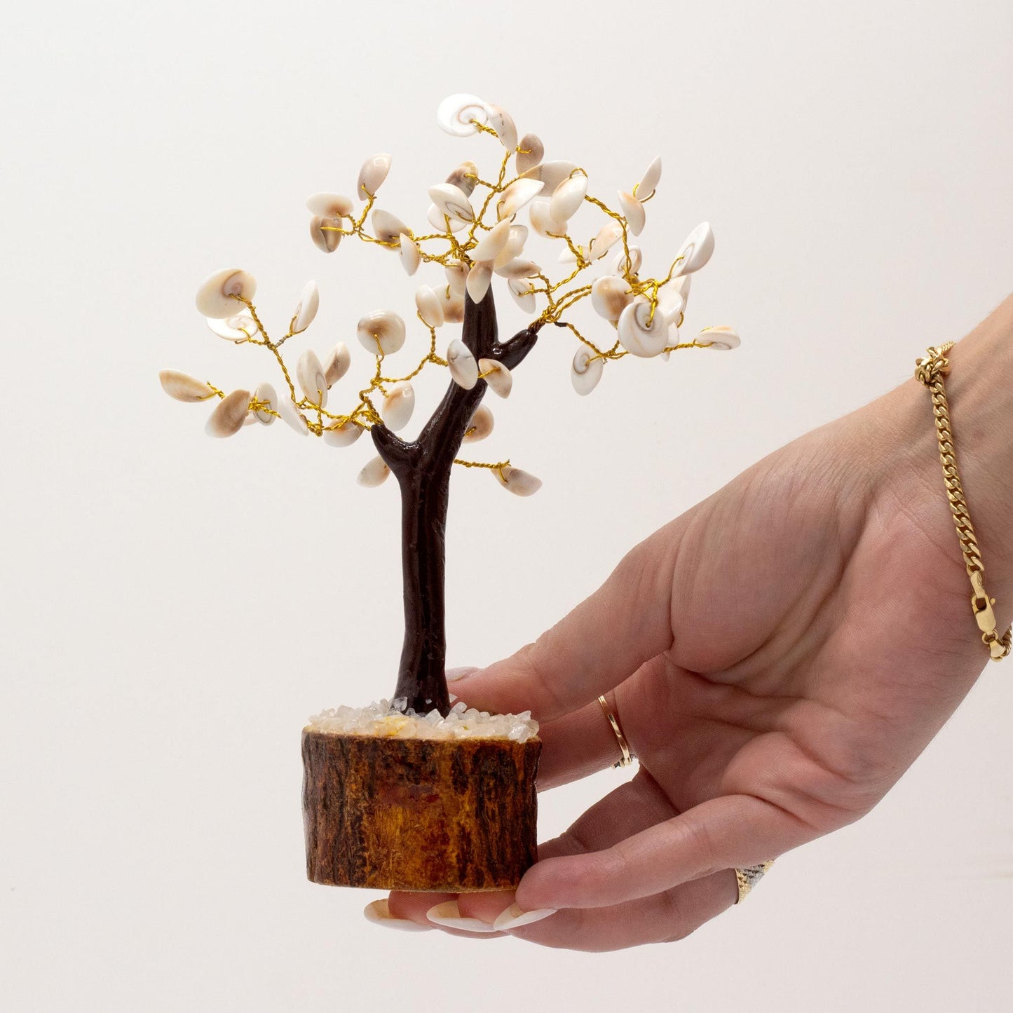 Großer Gomati Chakra Steinbaum Mit 60 Steinen