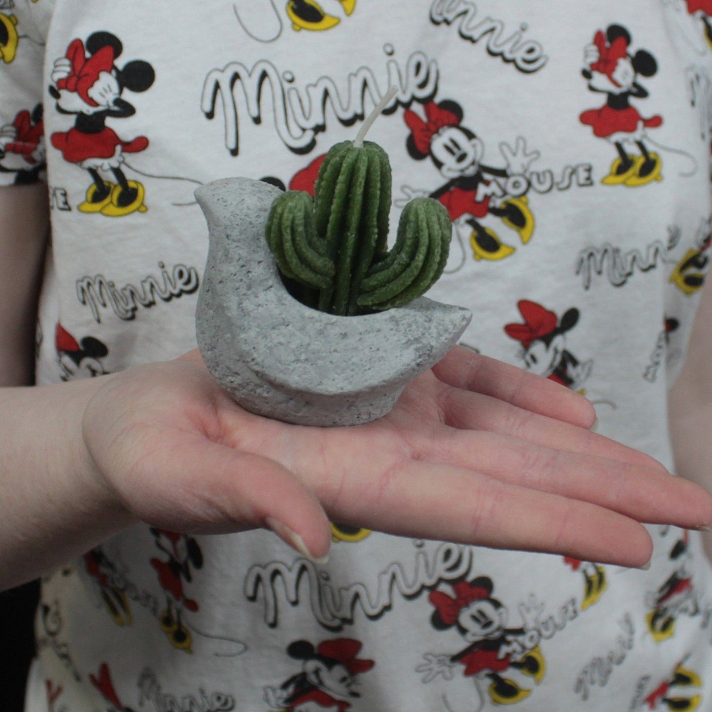 Kaktuskerzen Tier Topf Sortiment Display